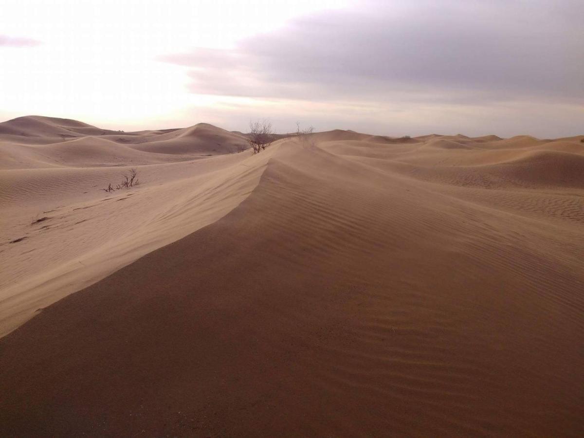 Campsite Tinfou Desert Camp Brija