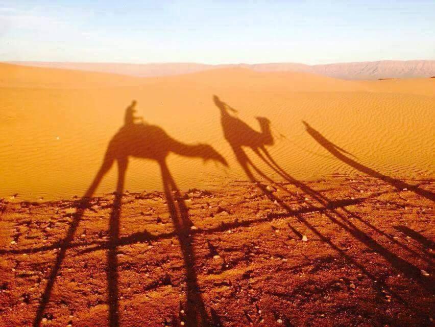 Campsite Tinfou Desert Camp *