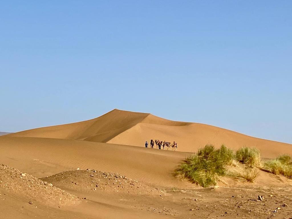 Tinfou Desert Camp Campsite