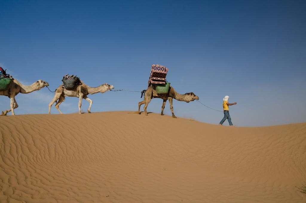 Tinfou Desert Camp Campsite